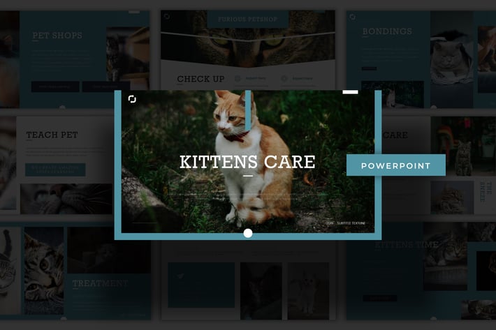 Kittens Care - Powerpoint Template