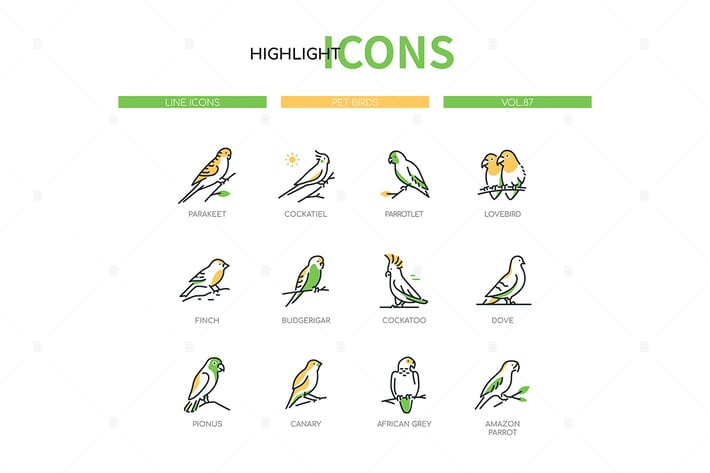 Pet Birds - Modern Line Design Style Icons Set