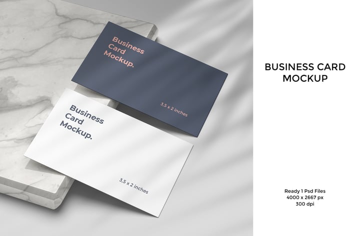 Business Card Mockup V. 4
