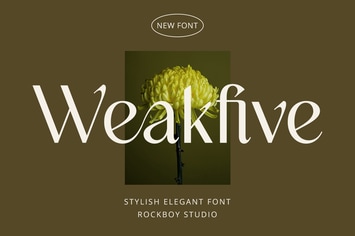 Weakfive - Modern Stylish