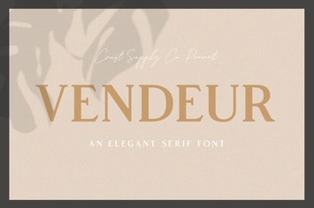 Vendeur - Elegant Serif Font