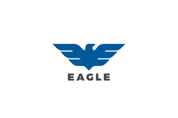 Logo Eagle Hawk Falcon Bird abstract