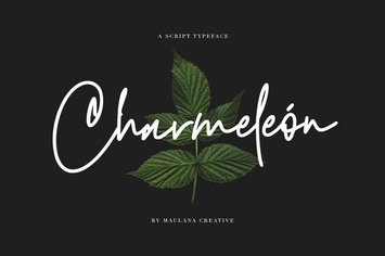 Charmeleon Script Typeface