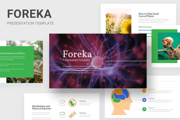Foreka - Biology Education Powerpoint