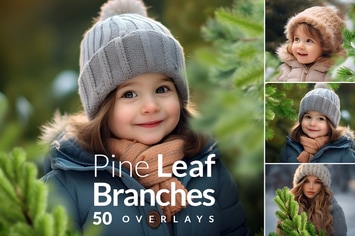 Pine Branches Christmas transparent PNG Overlays