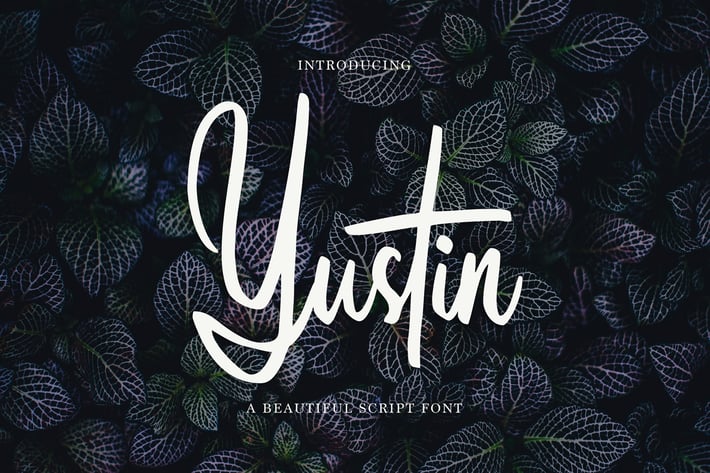 Yustin - Script Font
