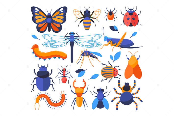 Insects Collection - Set of Flat Elements