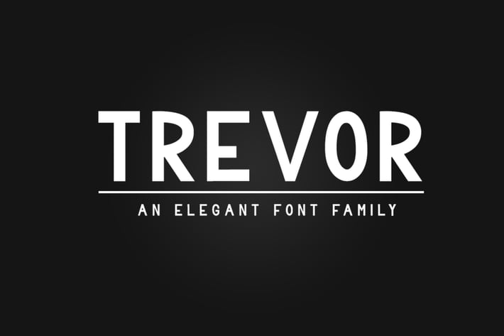 Trevor - Elegant Sans Serif Family Font 
