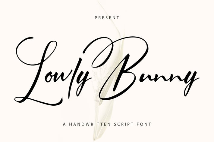 Lowly Bunny | Handwritten Script Font