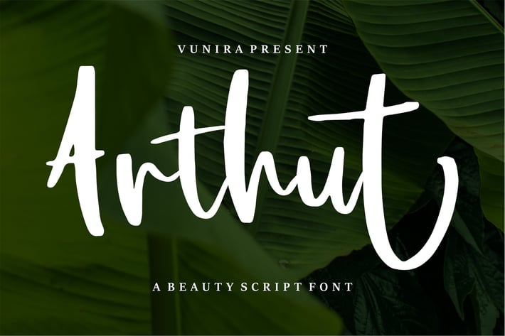 Arthut |Modern Script Font