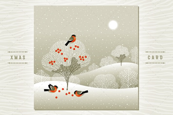 Winter Forest