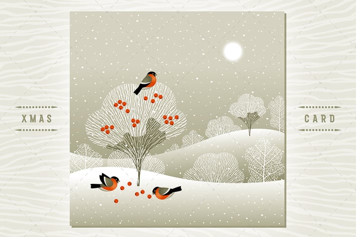 Winter Forest