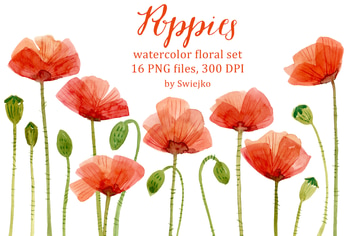 Watercolor Poppies