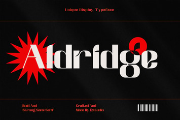Unique Display Font - Aldridge 