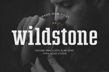 Wildstone - wild vintage smallcaps slab serif