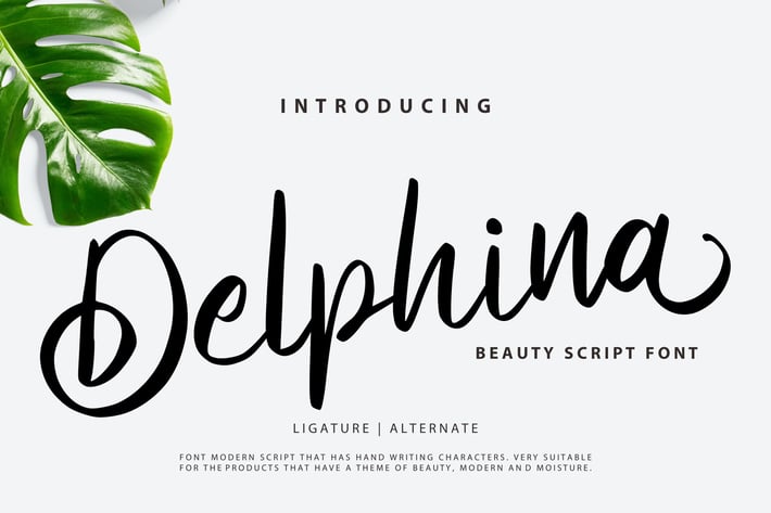 Delphina | Beauty Script Font
