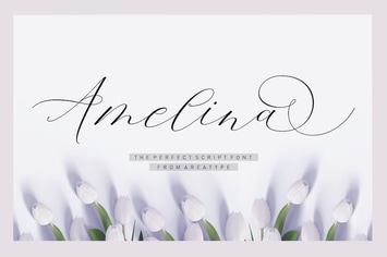 Amelina Script