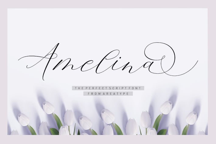 Amelina Script