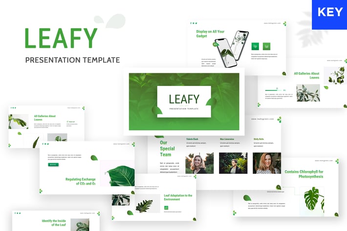 Leafy - Keynote Template