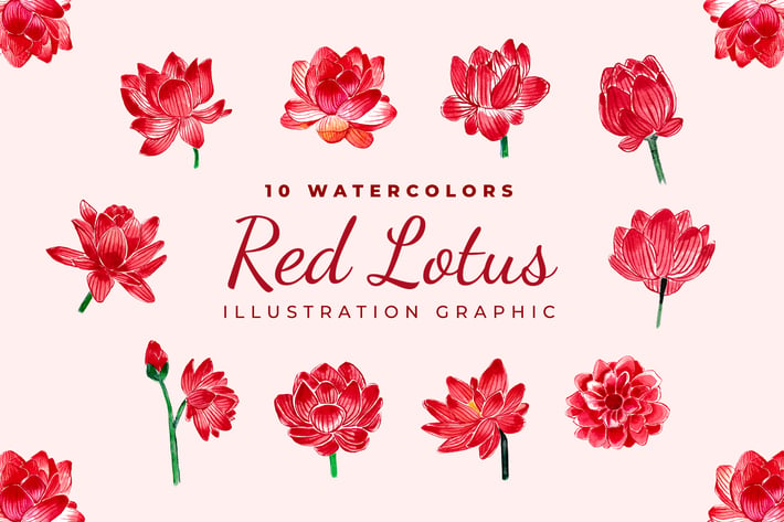 Red Lotus Flowers Watercolor