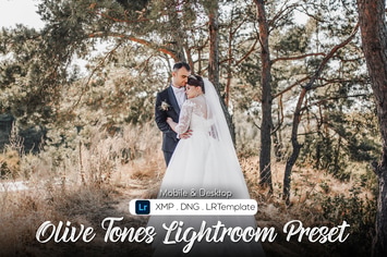 12 Olive Tones Lightroom Preset