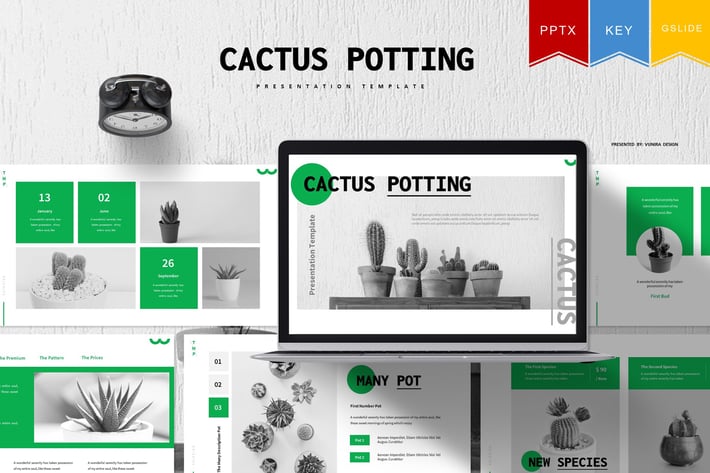 Cactus Potting | Powerpoint, Key, Google Slides