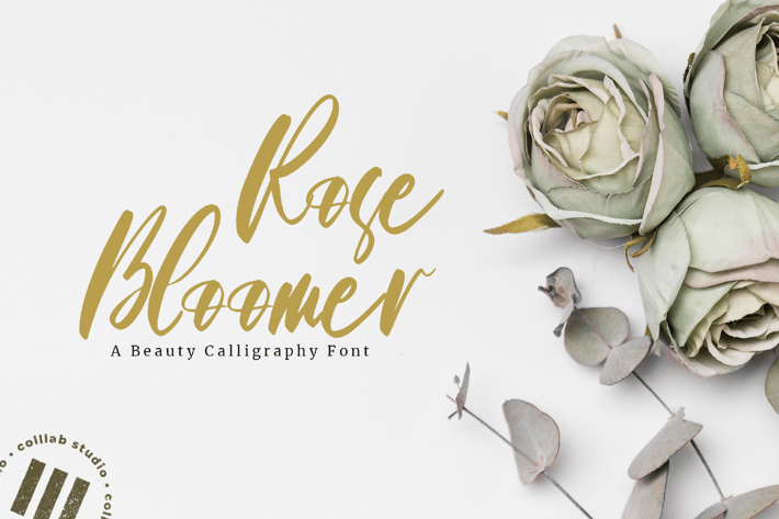 Roses Bloomer