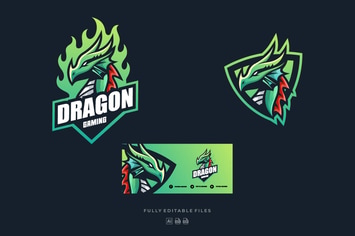 Dragon Sports and E-sports Logo
