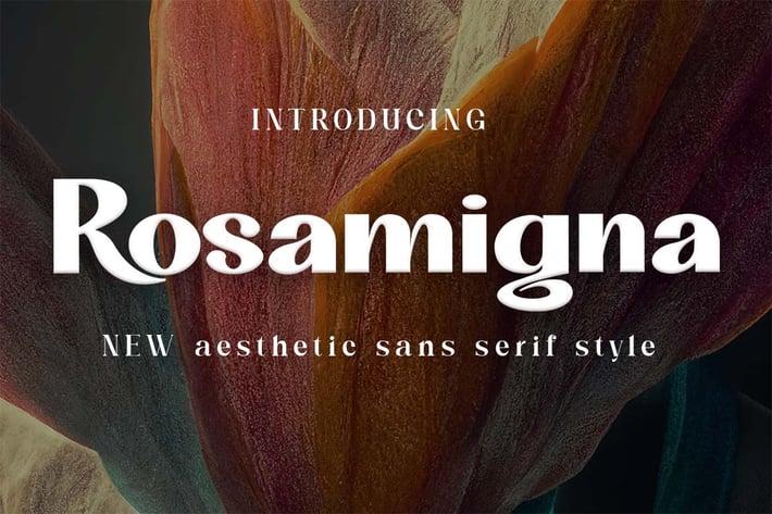 Rosamigna - Sans Serif Font