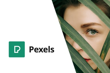 Pexels - Import Free Stock Images into WordPress