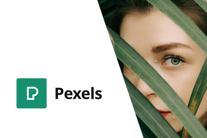 Pexels - Import Free Stock Images into WordPress