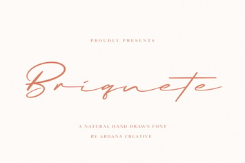 Briquete Script | Signature Font