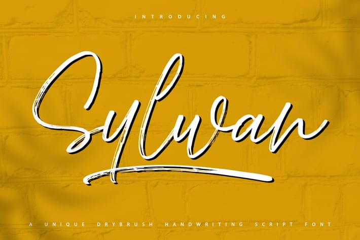Sylwan | Unique Drybrush Handwriting Script
