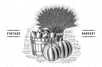 Retro Harvest Still Life Black And White