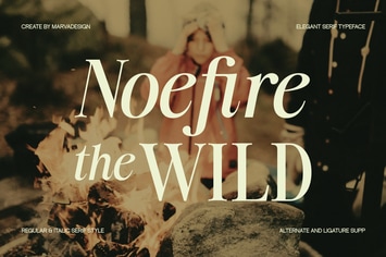 Noefire - Serif Font