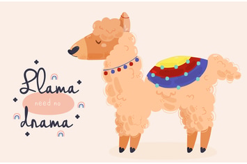 Alpaca Illustration