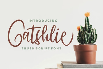 Gatshlie Modern Sript