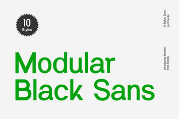  Modular Black Sans Serif Font Family