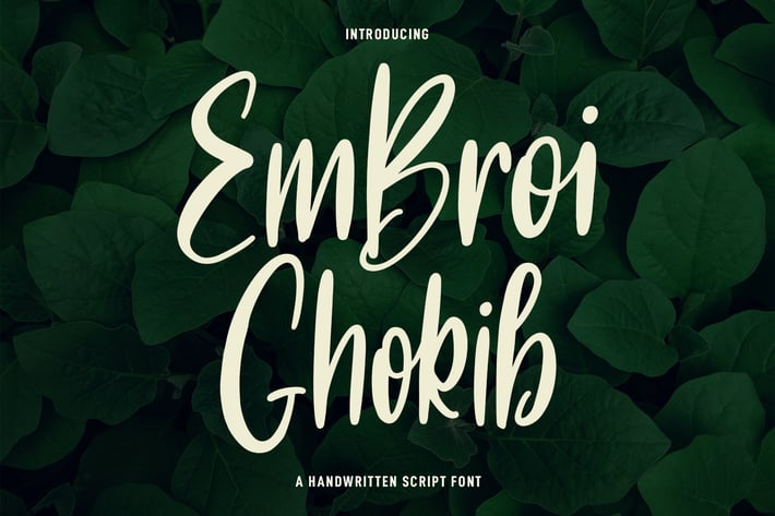 Embroi Ghokib Handwritten Script Font