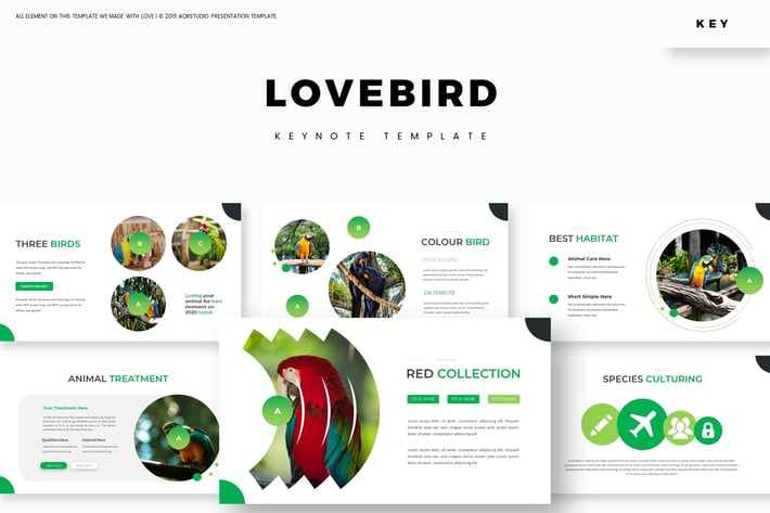Love Bird - Keynote Template