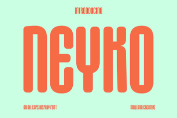 Neyko Sans Serif Display Font