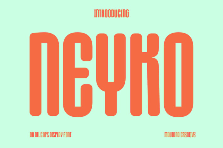 Neyko Sans Serif Display Font