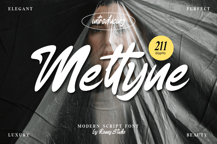 Meltyne - Modern Script Font