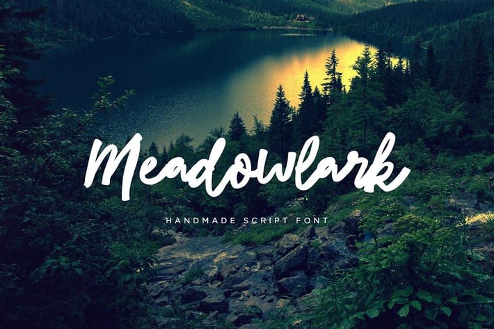 Meadowlark