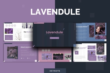 Lavendule - Keynote Template