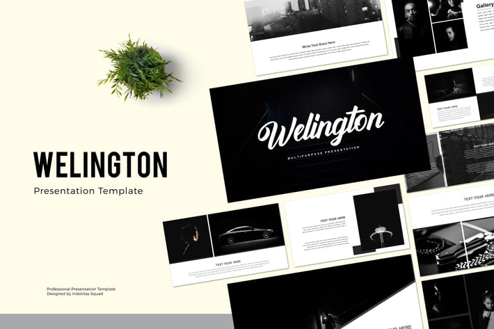 WELINGTON - Keynote Template
