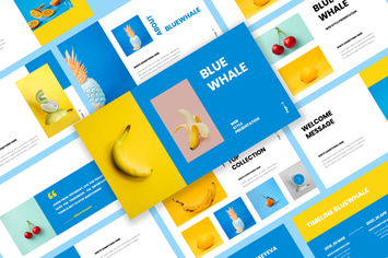 Bluewhale - Keynote Presentation
