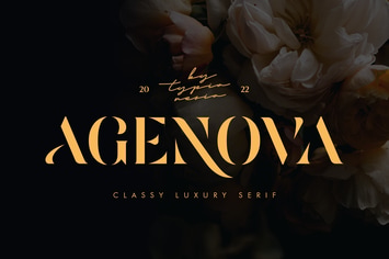 Agenova - Modern Luxury Bold Stencil Serif