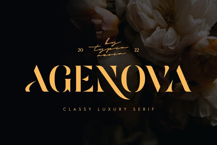 Agenova - Modern Luxury Bold Stencil Serif