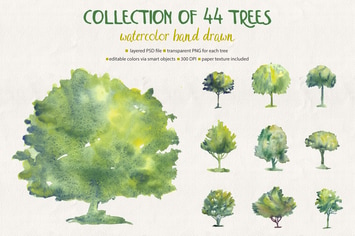 Collection of 44 Watercolor Trees